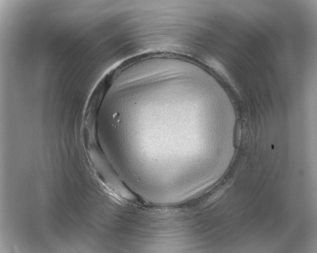 X0000065960924200603241843