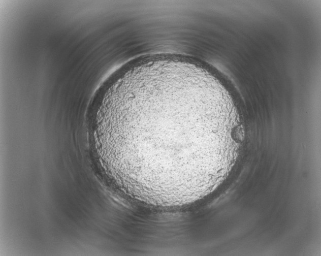 X0000065960925200603241843