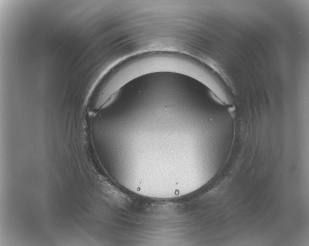 X0000065960926200603241843