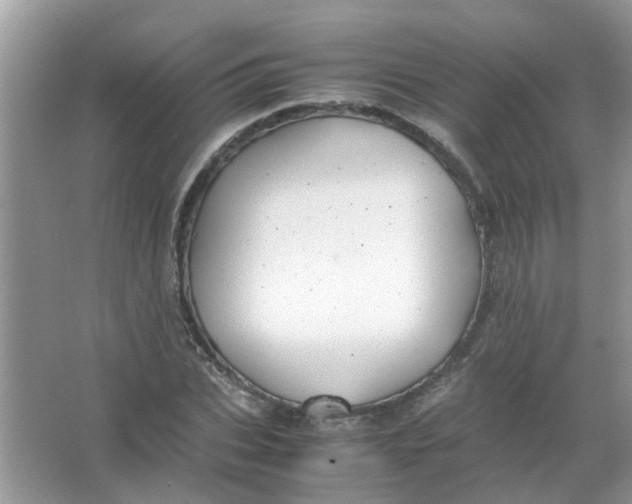 X0000065960927200603241843