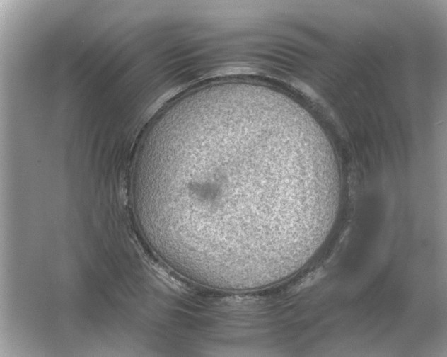 X0000065960929200603241843