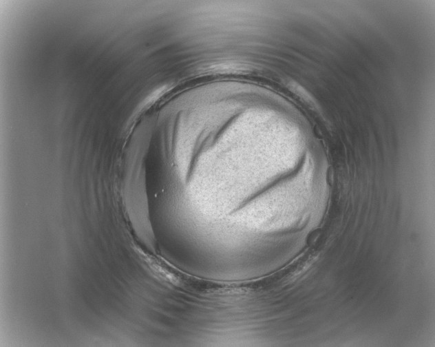 X0000065960930200603241843