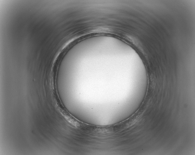 X0000065960931200603241843