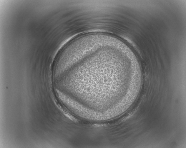 X0000065960933200603241843