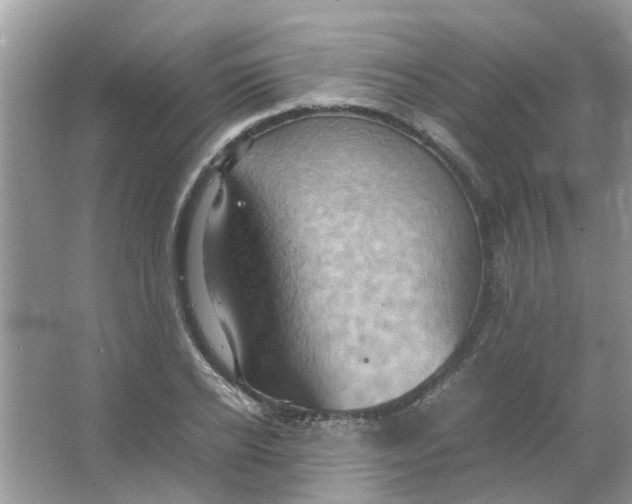 X0000065960934200603241843