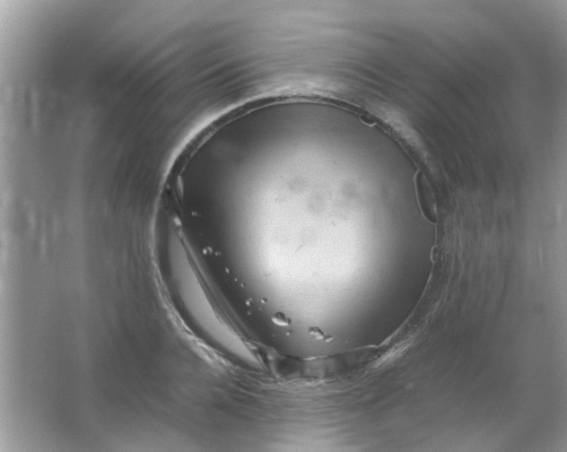 X0000065960936200603241843