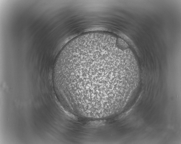 X0000065960937200603241843