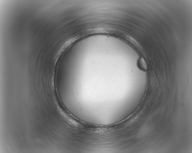 X0000065960938200603241843