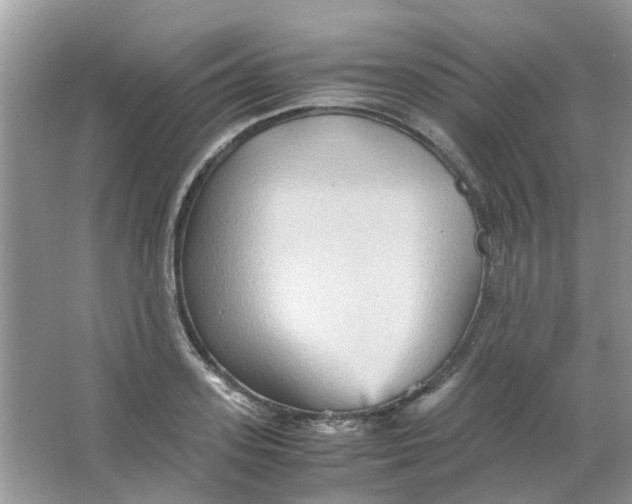 X0000065960939200603241843