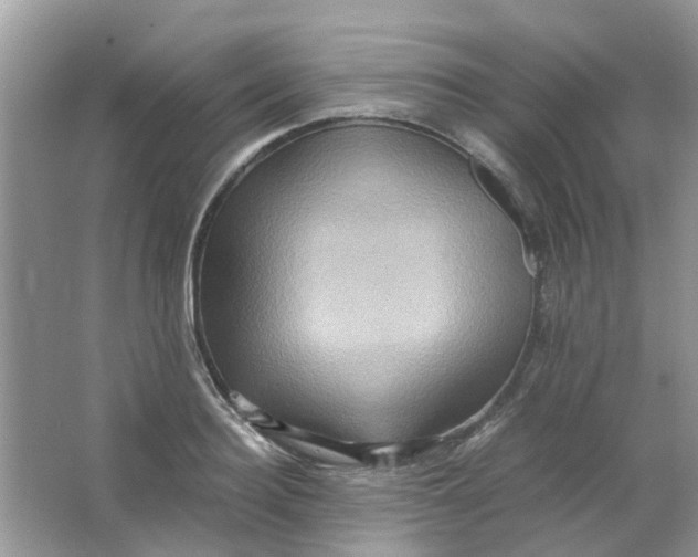 X0000065960940200603241843