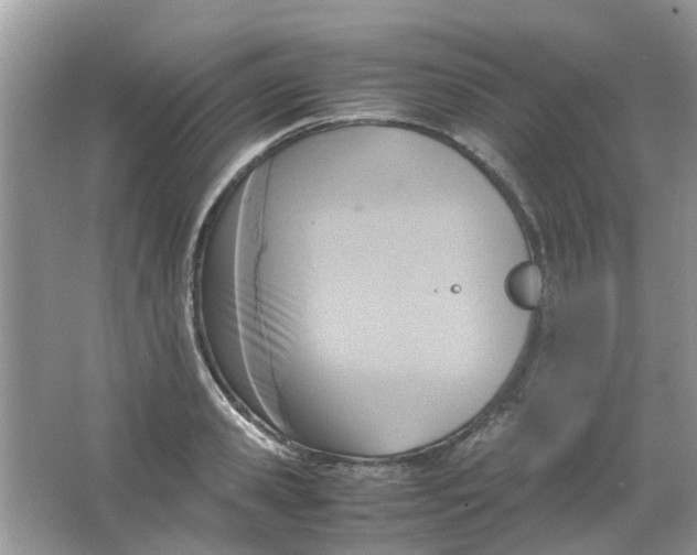 X0000065960941200603241843