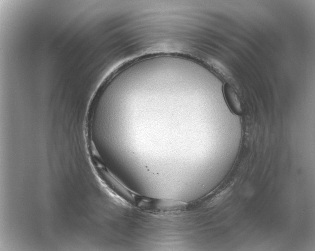 X0000065960942200603241843