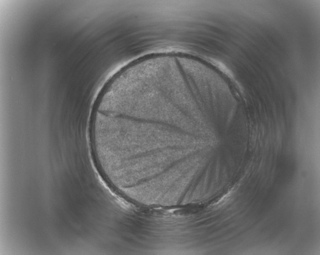 X0000065960943200603241843