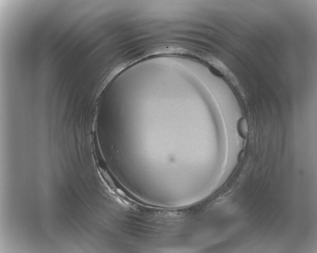 X0000065960945200603241843