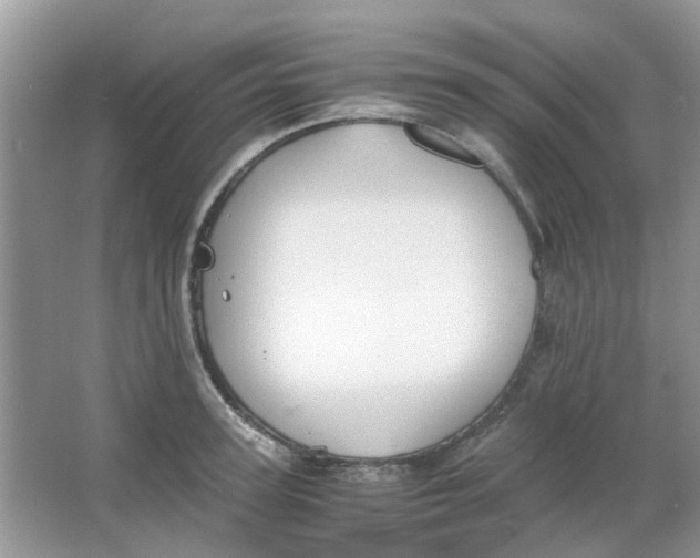 X0000065960947200603241843