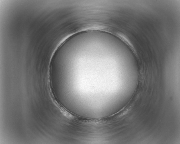 X0000065960948200603241843