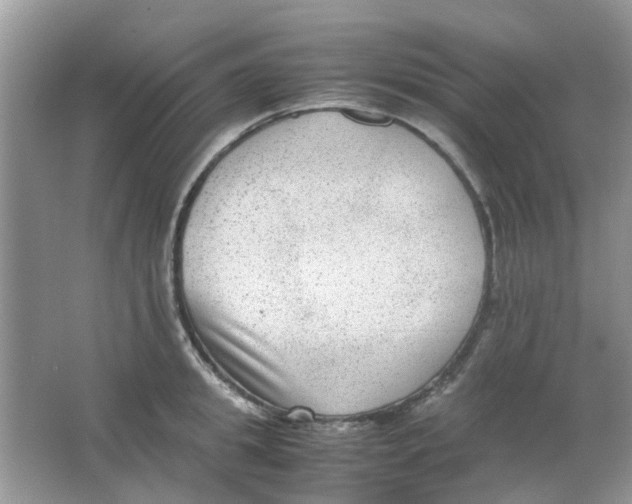 X0000065960949200603241843