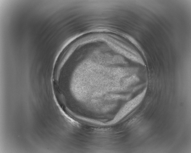 X0000065960951200603241844