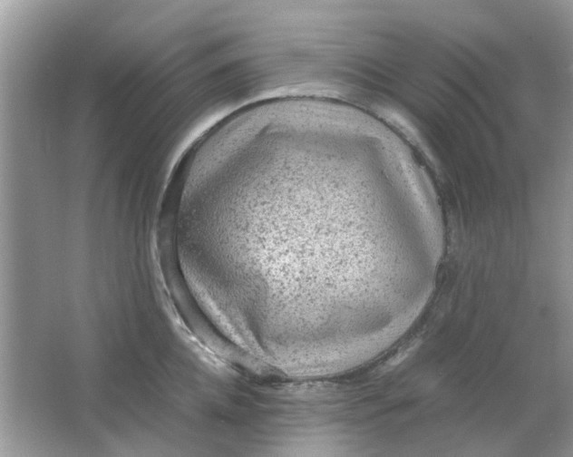 X0000065960952200603241844