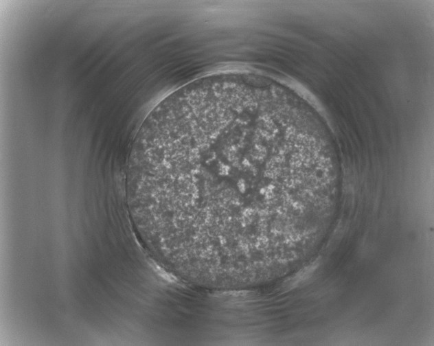 X0000065960953200603241844