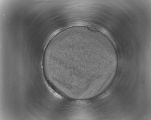 X0000065960954200603241844