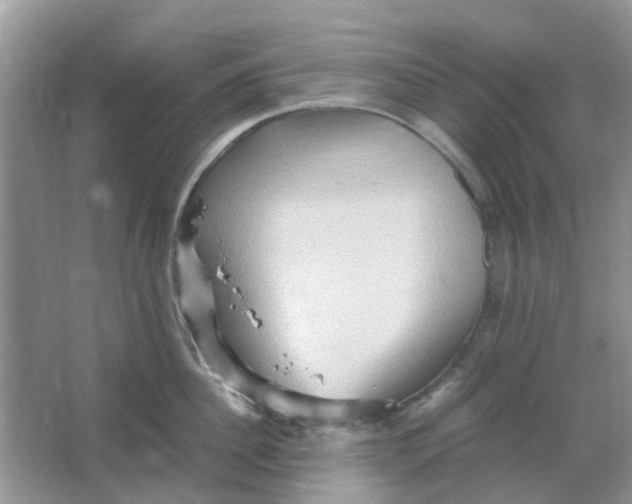 X0000065960956200603241844