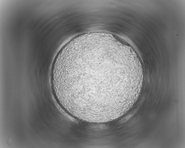 X0000065960957200603241844