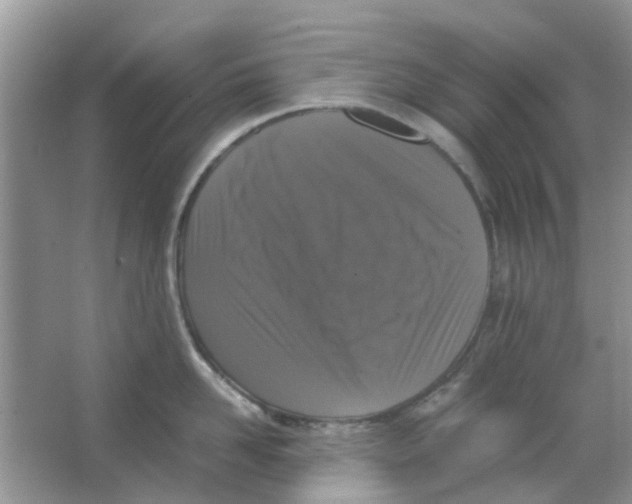 X0000065960958200603241844