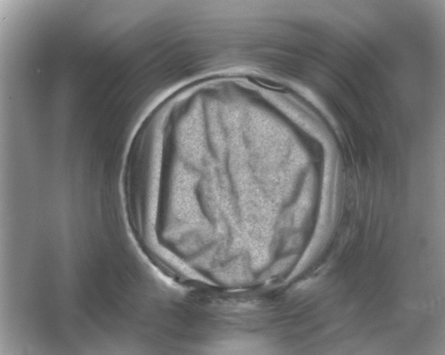 X0000065960959200603241844