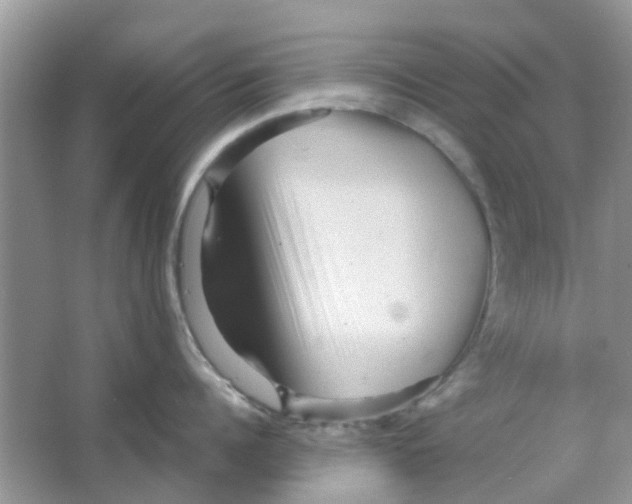 X0000065960960200603241844