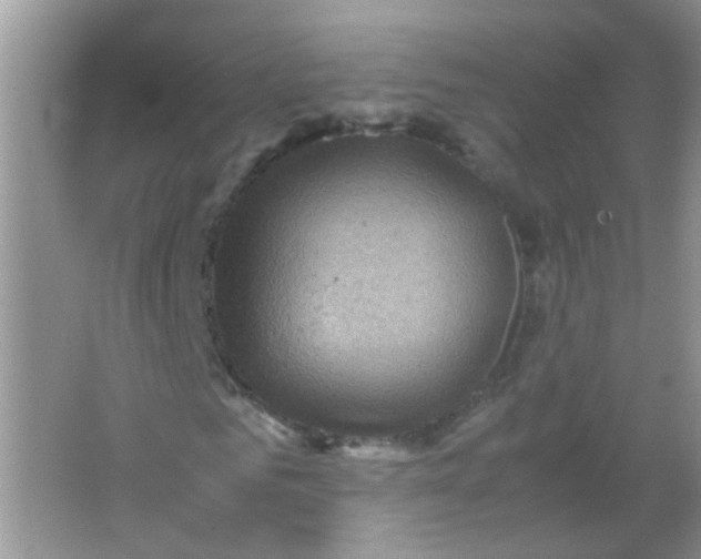 X0000065960961200603241843