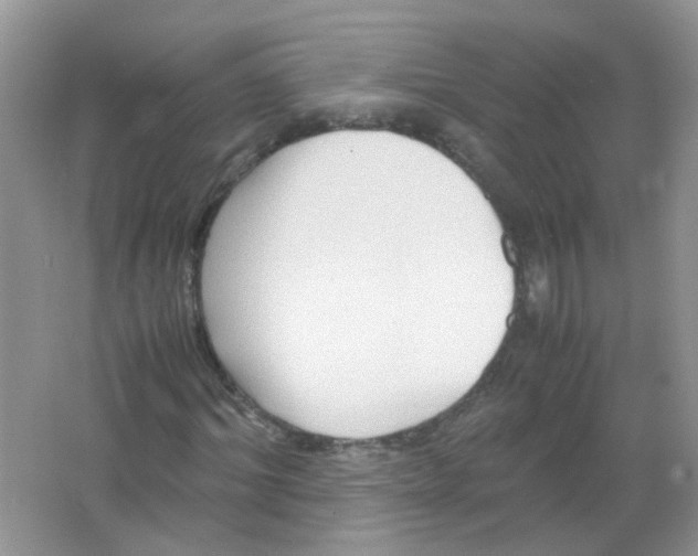 X0000065960964200603241843