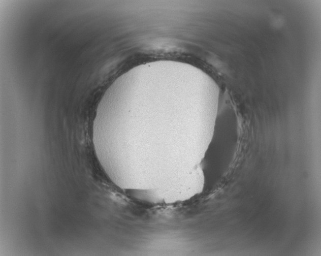 X0000065960965200603241843