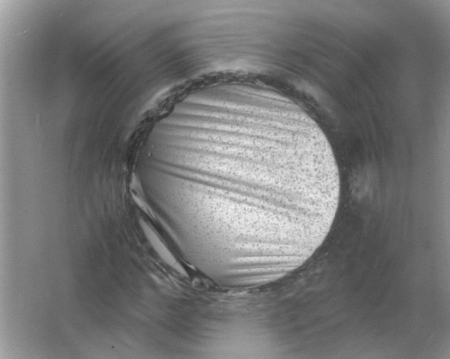 X0000065960968200603241843