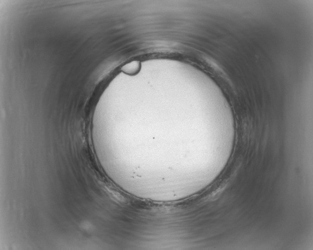 X0000065960970200603241843