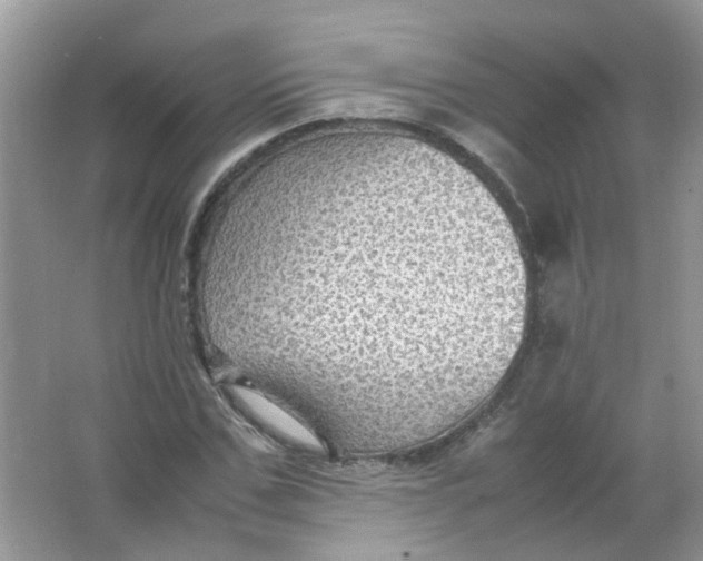 X0000065960971200603241843