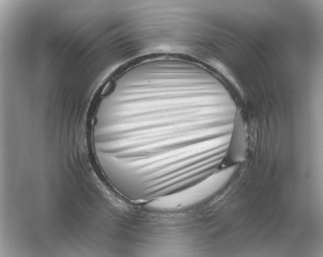 X0000065960972200603241843