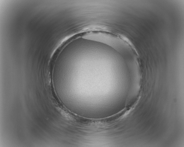 X0000065960973200603241843