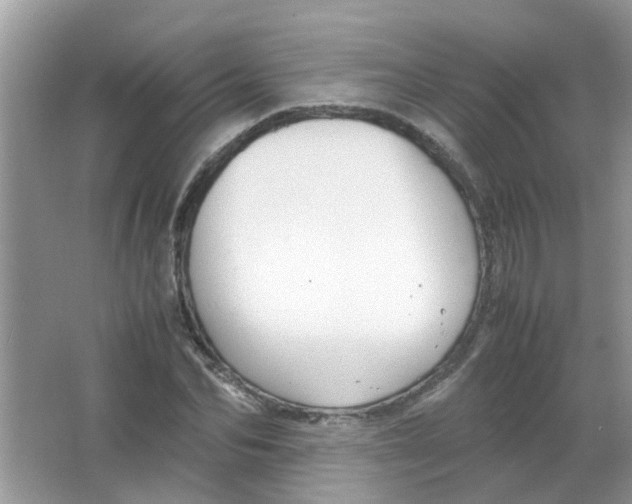 X0000065960974200603241843