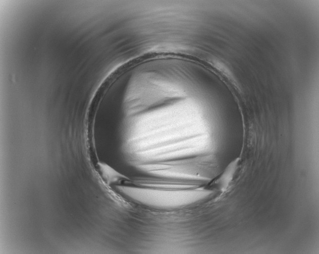 X0000065960976200603241843