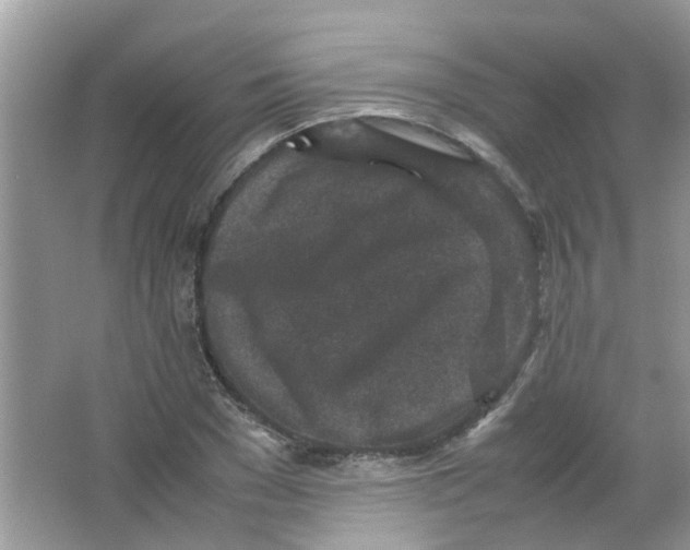 X0000065960977200603241843