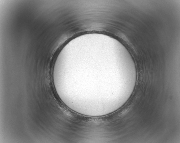 X0000065960978200603241843