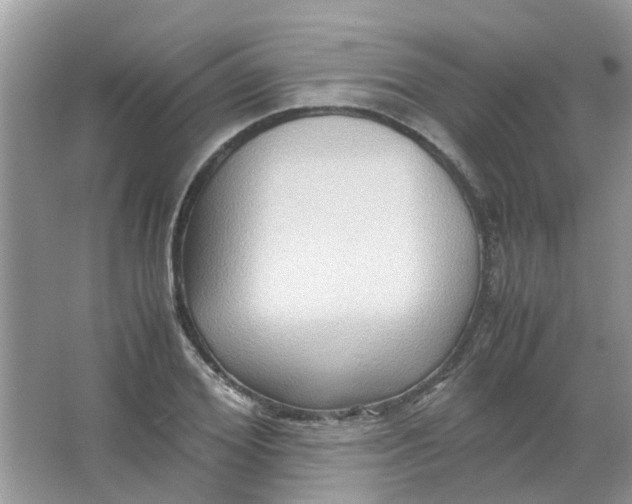 X0000065960980200603241843