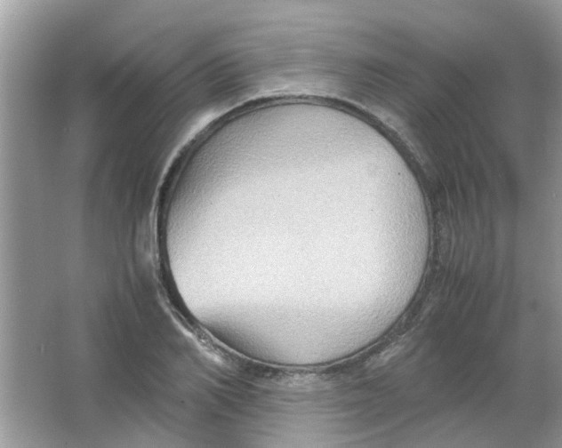 X0000065960982200603241843