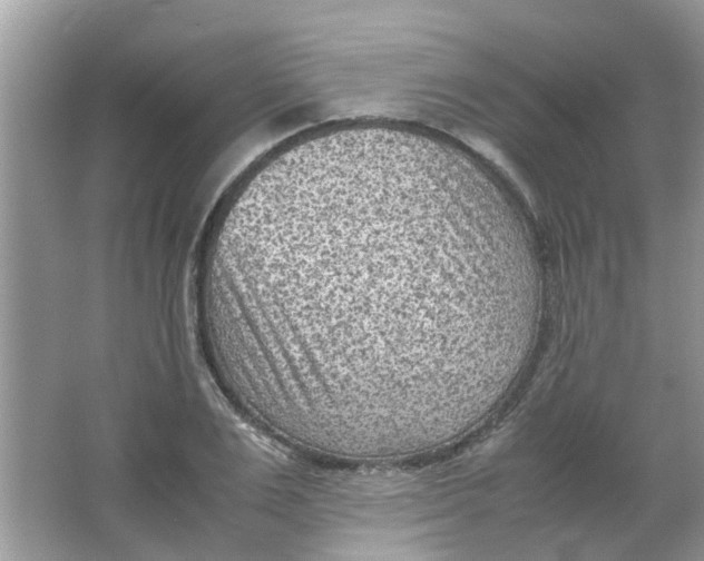 X0000065960983200603241842