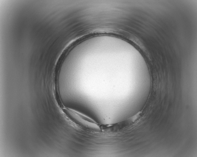 X0000065960984200603241842