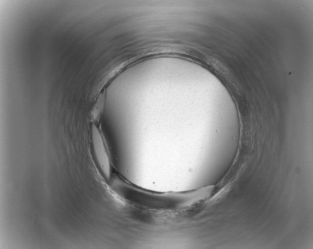 X0000065960985200603241842