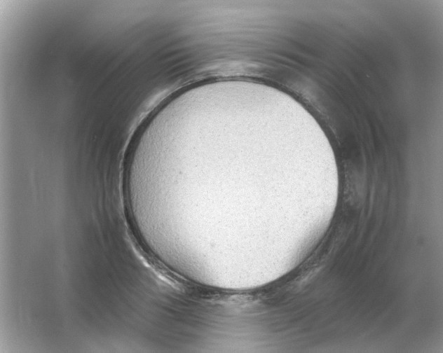 X0000065960986200603241842