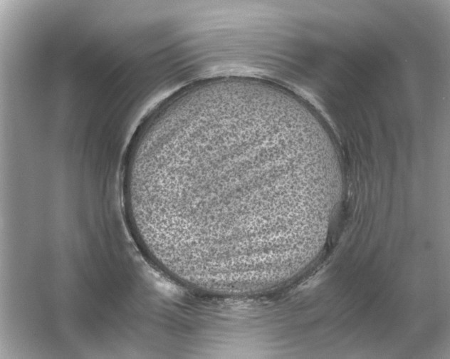 X0000065960987200603241842