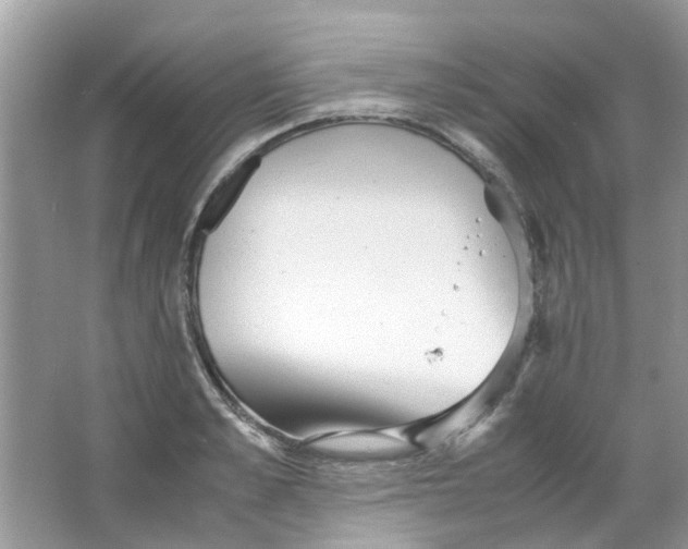 X0000065960989200603241842